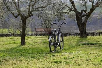 Agroturismo Casale Contessa