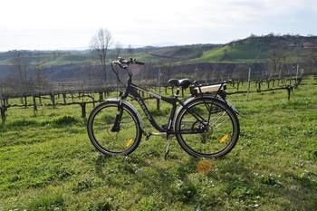 Agroturismo Casale Contessa