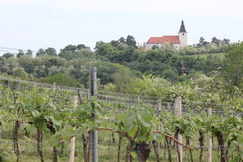 Pension Wein- & Schlafgut K�ssler