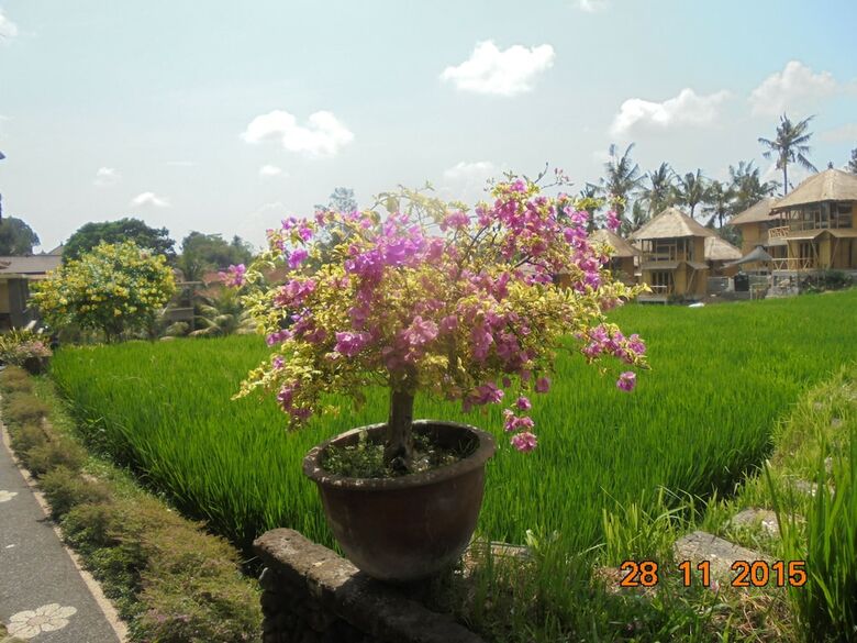 Hotel Biyukukung Suites And Spa