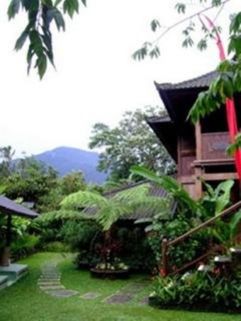 Hotel Bali Mountain Retreat
