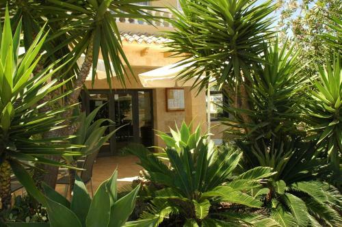 Hostal Hotel Noguera