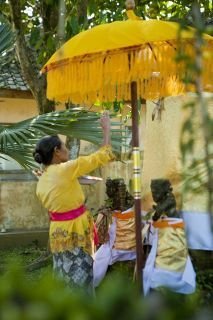 Villa D'omah Hotel Bali