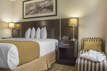Quality Hotel