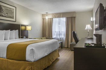 Quality Hotel