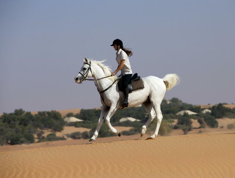 Hotel Al Maha Desert Resort & Spa