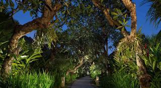 Sun Island Boutique Villas
