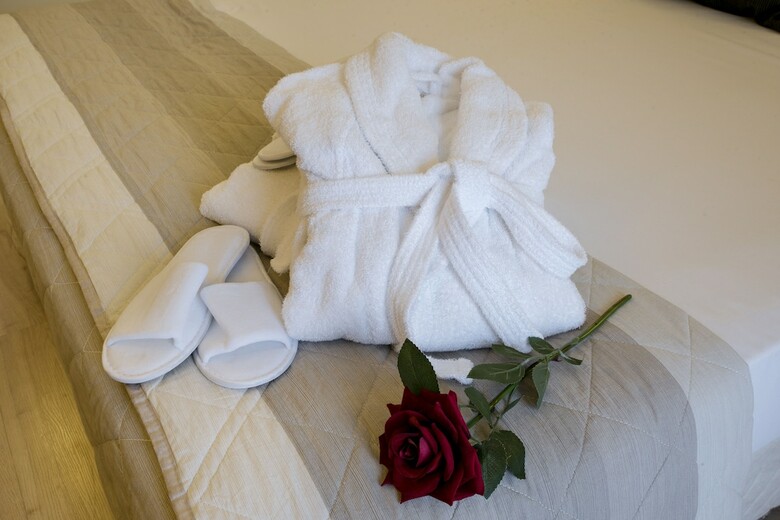 Hotel Executive