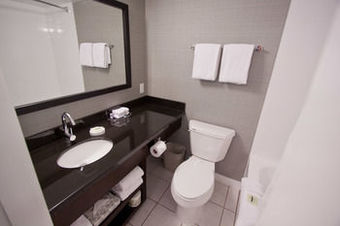 Hotel Sandman Inn Revelstoke