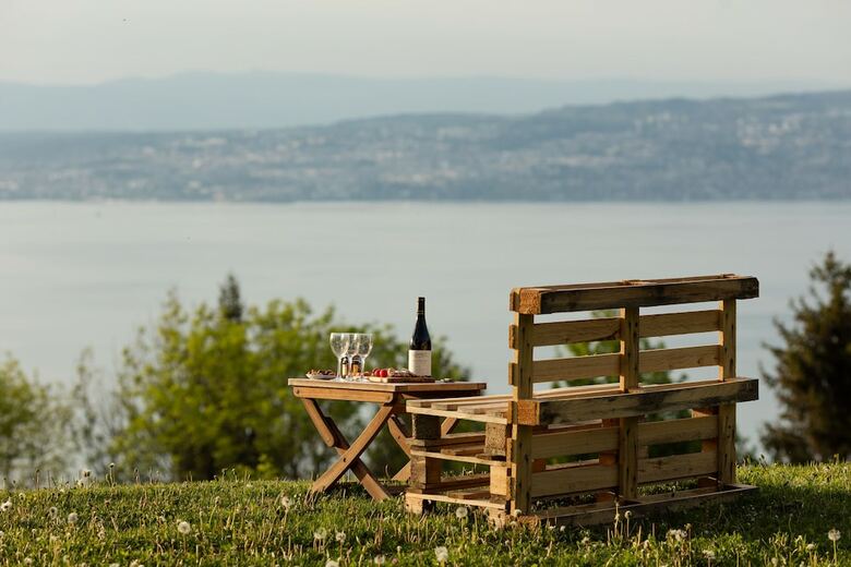 Residencia Apts Park And Suites Village Evian Lugrin