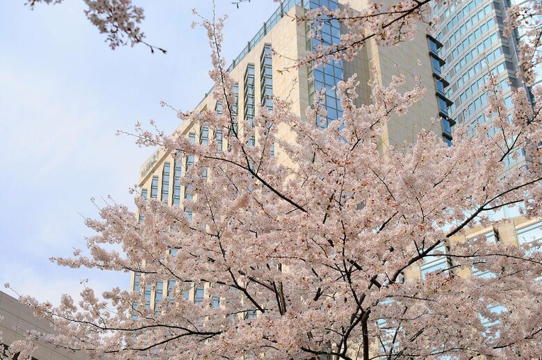 Hotel Grand Hyatt Tokyo