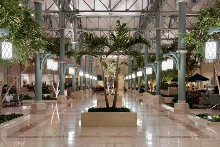 Hotel Hilton Houston North