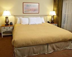 Hotel Homewood Suites By Hilton Clearwater
