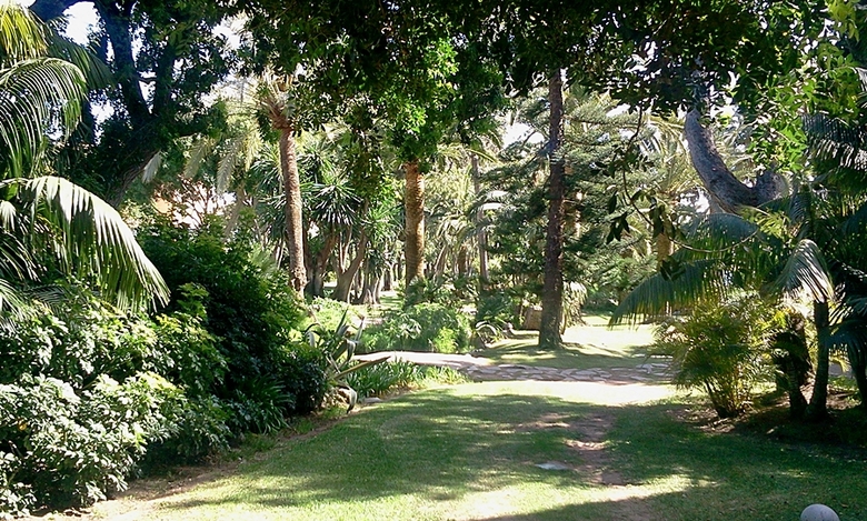 Hotel The Oasis By Don Carlos Resort