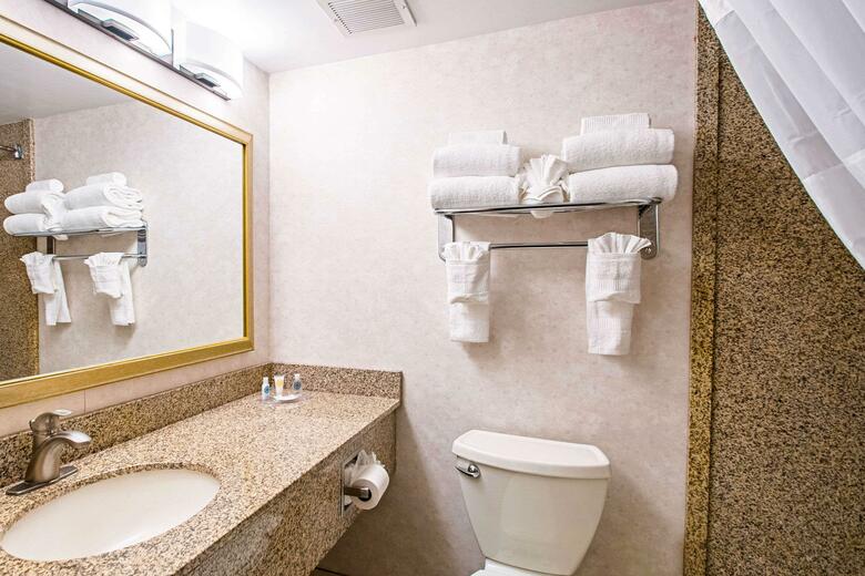 Hotel Comfort Inn Arlington Blvd/dc Gateway