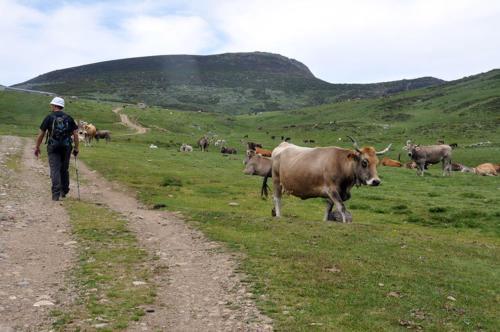 Agroturismo Hotel Rural La Posada El Sestil