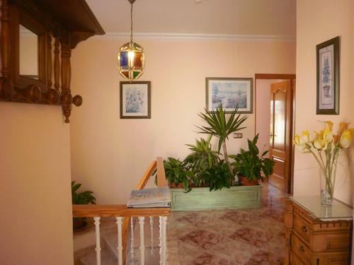 Villa Mercedes Exotica Nerja
