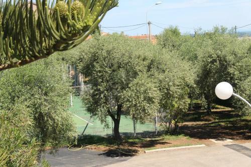 B&B Le Clos Des Oliviers