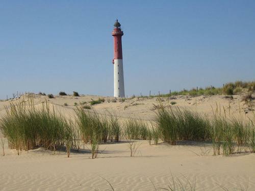 Location Mobil-home Climatis� � La Palmyre