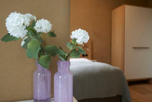 Alte Apotheke Hotel Und Cafe