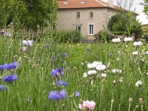 Bed & Breakfast Chambres D'h�tes Ch�teau Pierre De Montignac