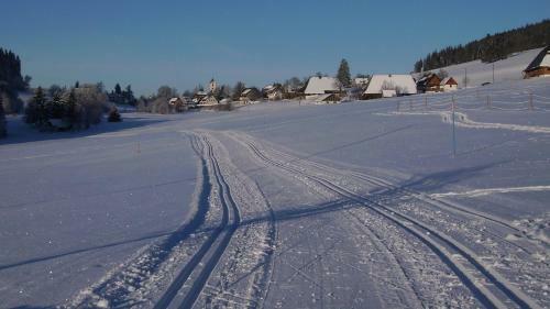 Hotel Feriengasthof L�wen