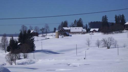 Hotel Feriengasthof L�wen