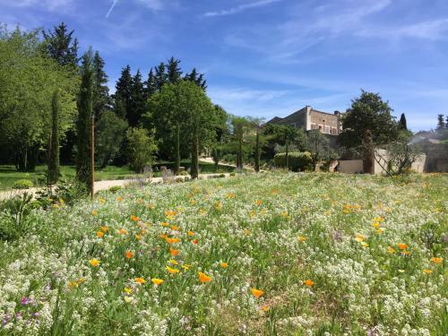 Agroturismo Domaine Les Martins - Gordes