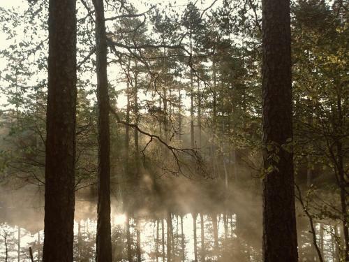 Bed & Breakfast �colodge Le Bruit De L?eau