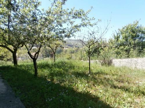Jadis Et Le Jardin D'hesp�rides