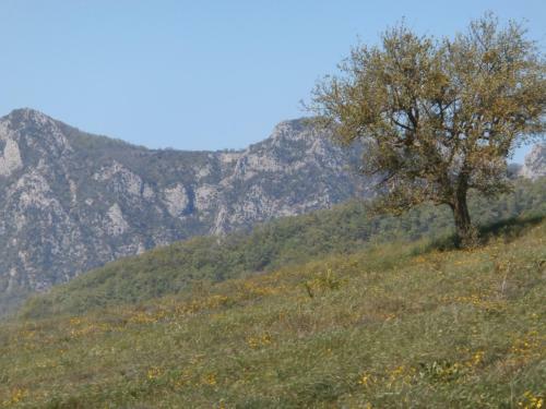 Jadis Et Le Jardin D'hesp�rides