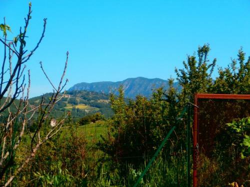 Jadis Et Le Jardin D'hesp�rides