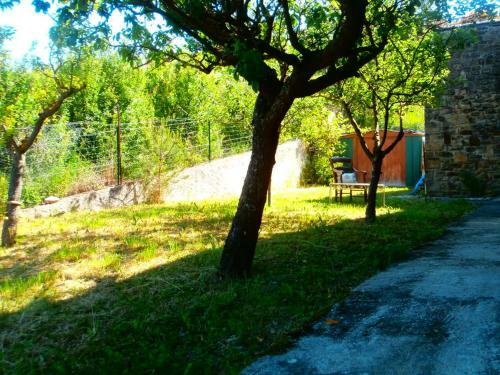 Jadis Et Le Jardin D'hesp�rides