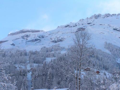 Apartamento Chalet Des Cascades