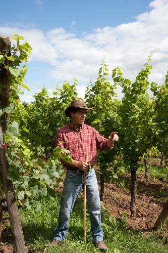 G�tes Le Tokay Et Le Muscat