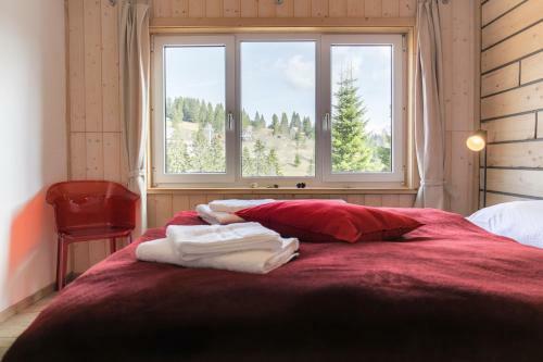Apartamento Kuckucksnester Feldberg