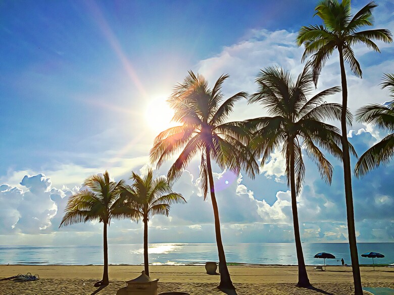Hotel Marriott Hollywood Beach