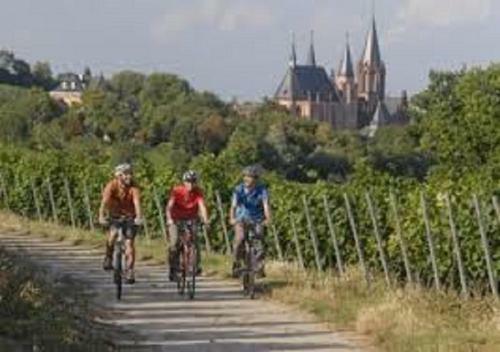 Best Western Wein- Und Parkhotel