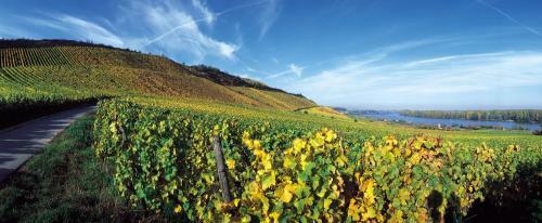 Best Western Wein- Und Parkhotel