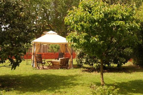 Apartamento Con Encanto L'estany