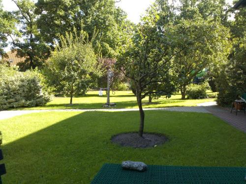One-bedroom Apartment In Putbus II