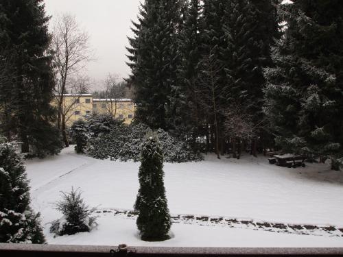 Apartamento Ferienwohnung Sch�ler - Wolke 1
