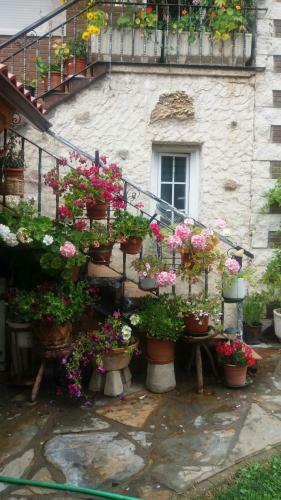 Casa Hostal Olga - Castilla Y Le�n