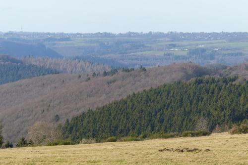 Chalets Am National Park Eifel
