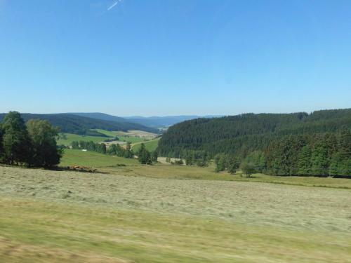 Hotel Schwarzwaldgasthaus Salenhof