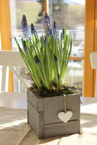 Apartamento Ferienwohnung Sandra Wetzel