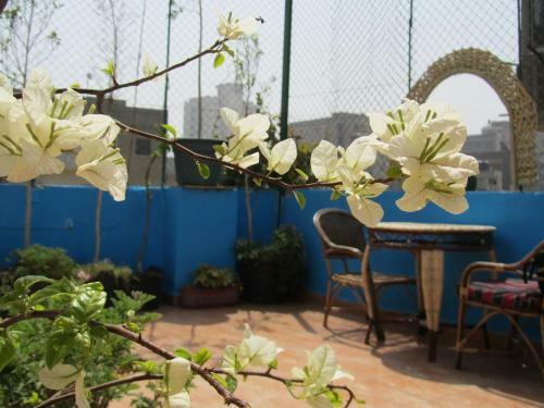 Hostal Arabian Nights Hostel