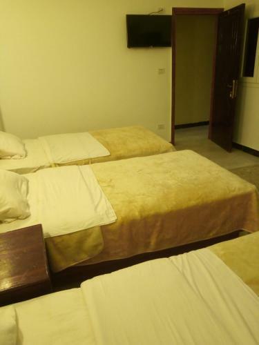 Hostal Arabian Nights Hostel