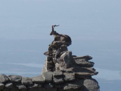 Agroturismo La Pasailla De Gredos
