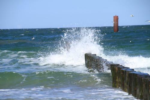 Hostal Hotel Garni Inselparadies Zingst